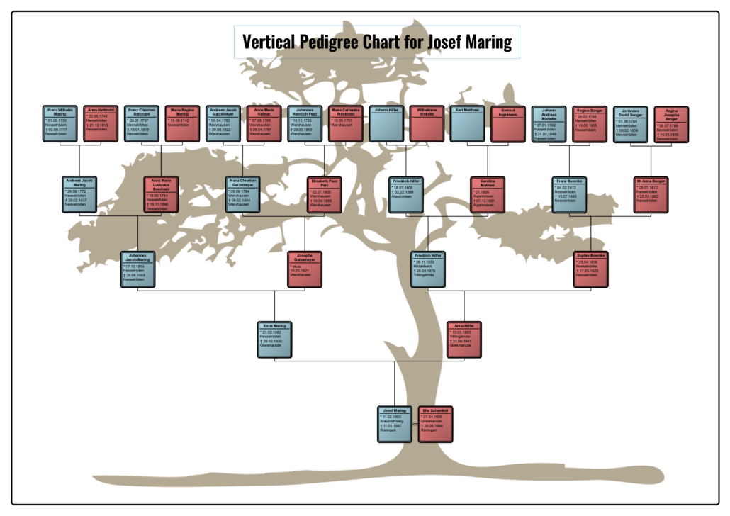 Vertical Pedigree Chart for Josef Maring